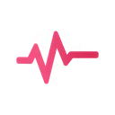 Pulse Customs
