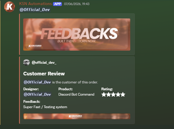 Feedback System V1